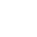 48pg icon