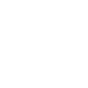 48pg icon